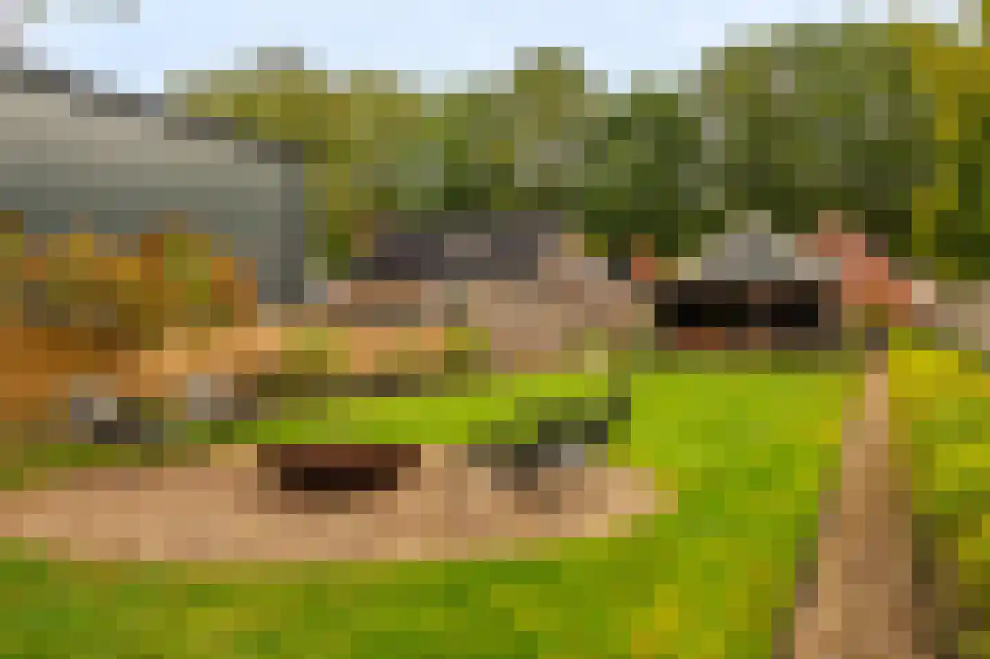 Molenlaan 4 Bellingwolde foto 3