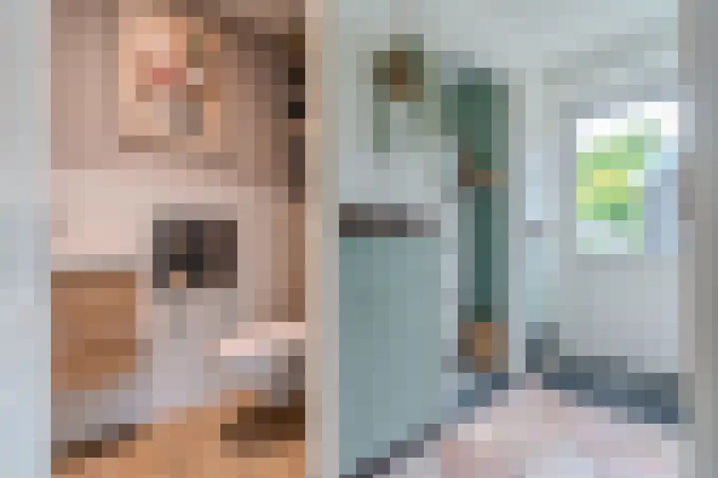 Molenlaan 4 Bellingwolde thumbnail 30