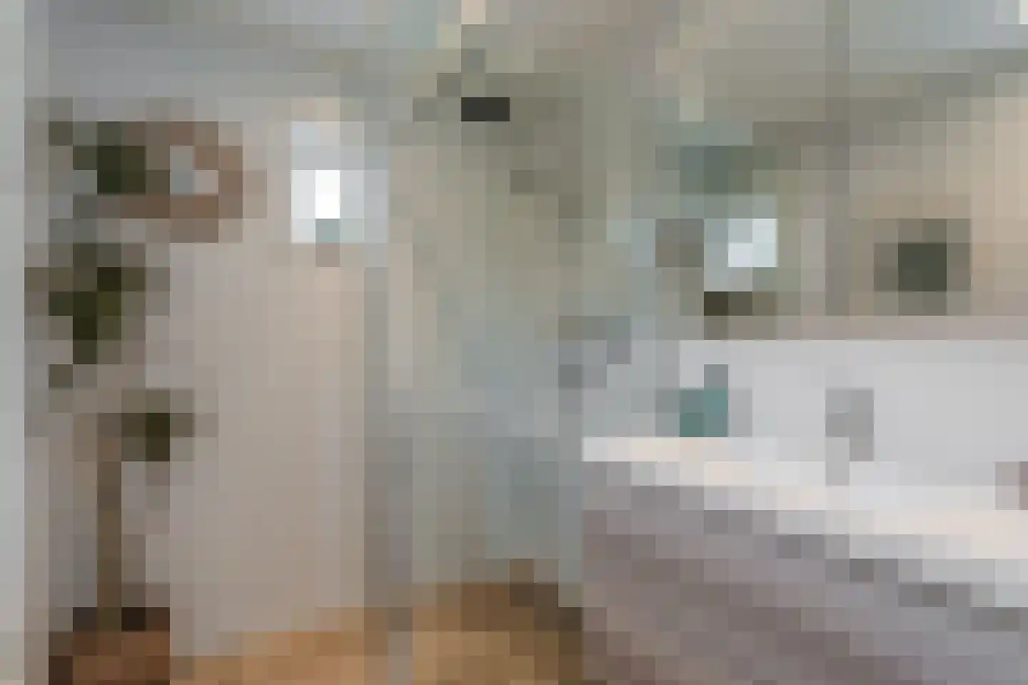 Molenlaan 4 Bellingwolde thumbnail 32