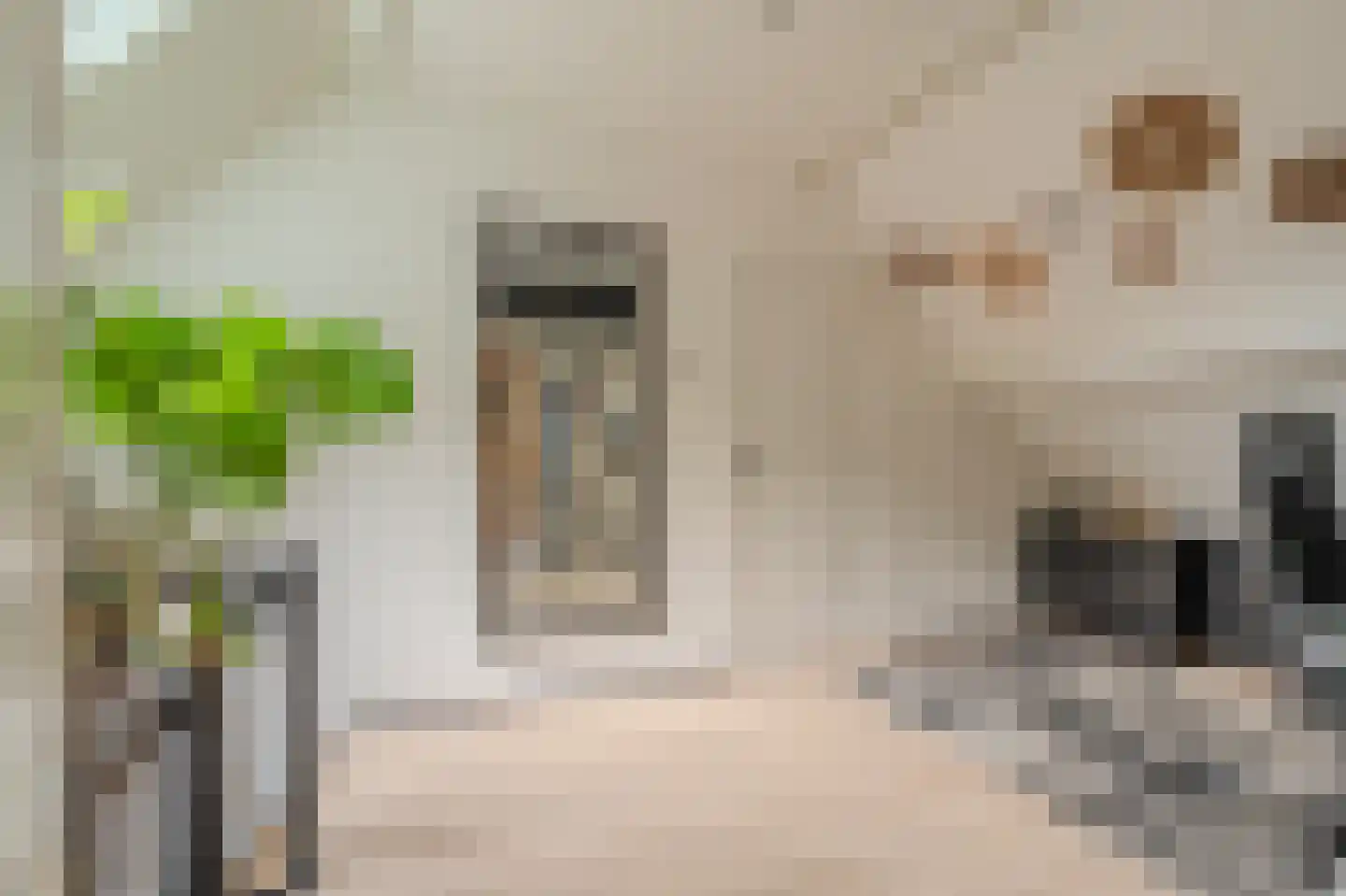 Molenlaan 4 Bellingwolde thumbnail 38