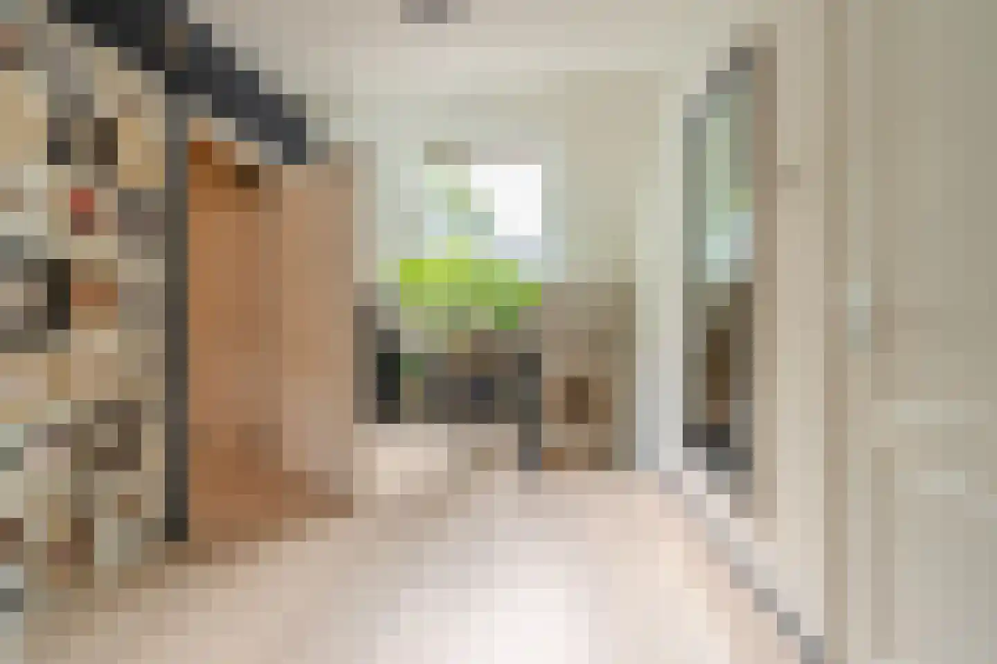 Molenlaan 4 Bellingwolde thumbnail 39