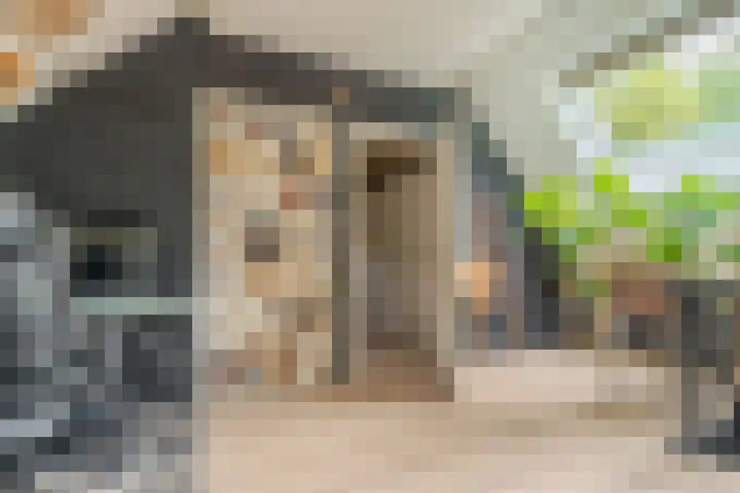 Molenlaan 4 Bellingwolde thumbnail 40