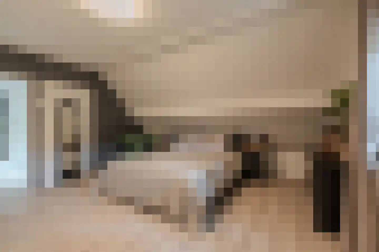 Molenlaan 4 Bellingwolde thumbnail 41