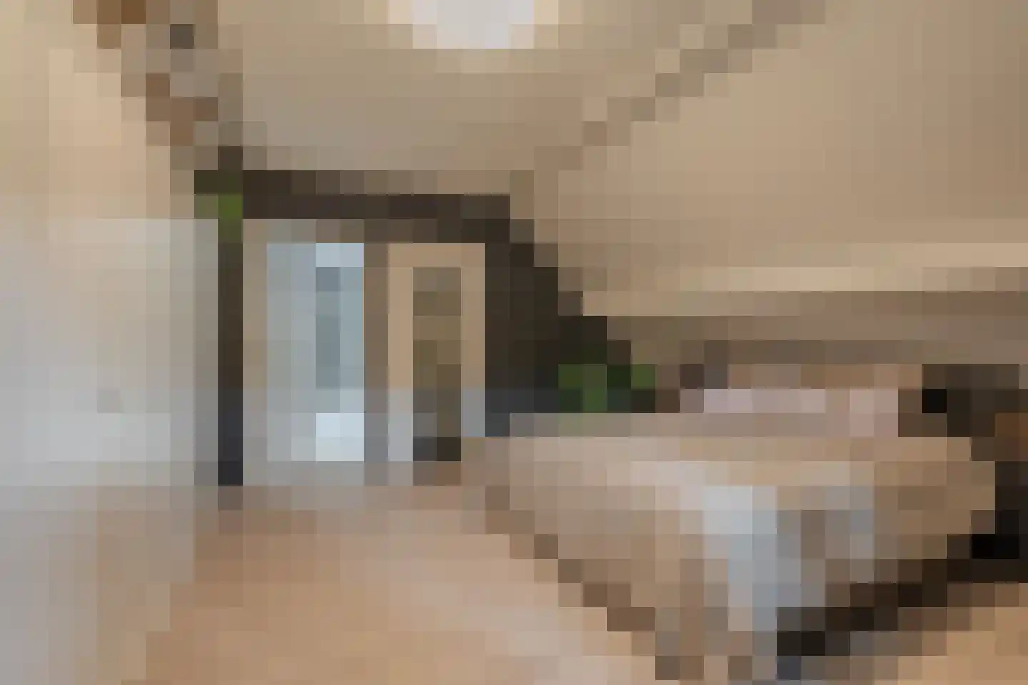Molenlaan 4 Bellingwolde thumbnail 42