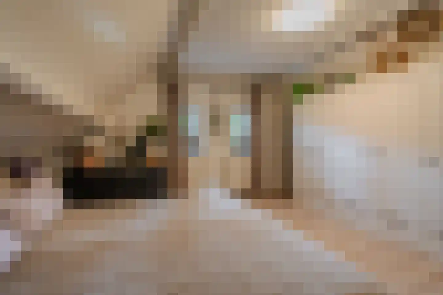 Molenlaan 4 Bellingwolde thumbnail 43