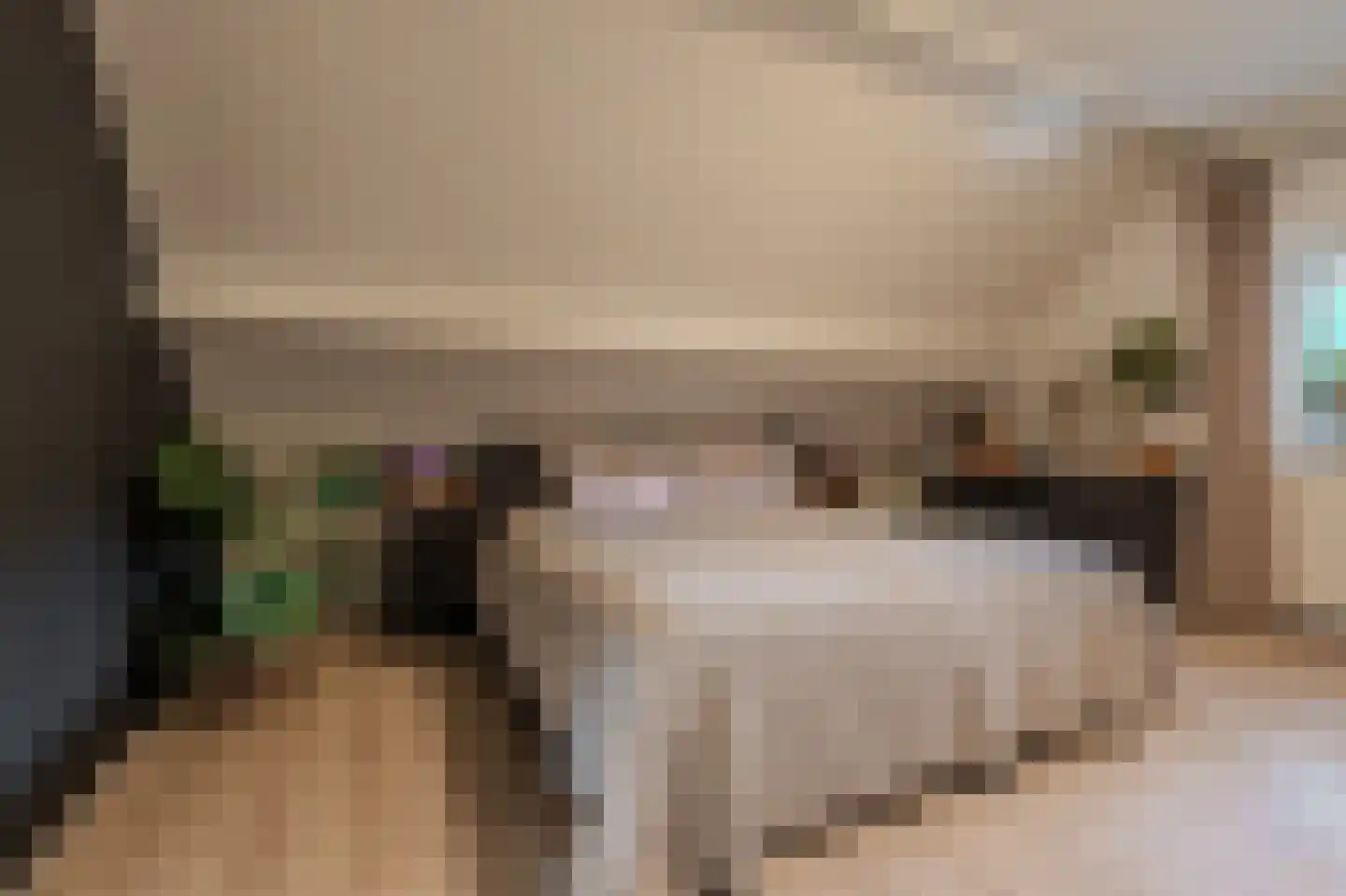 Molenlaan 4 Bellingwolde thumbnail 44