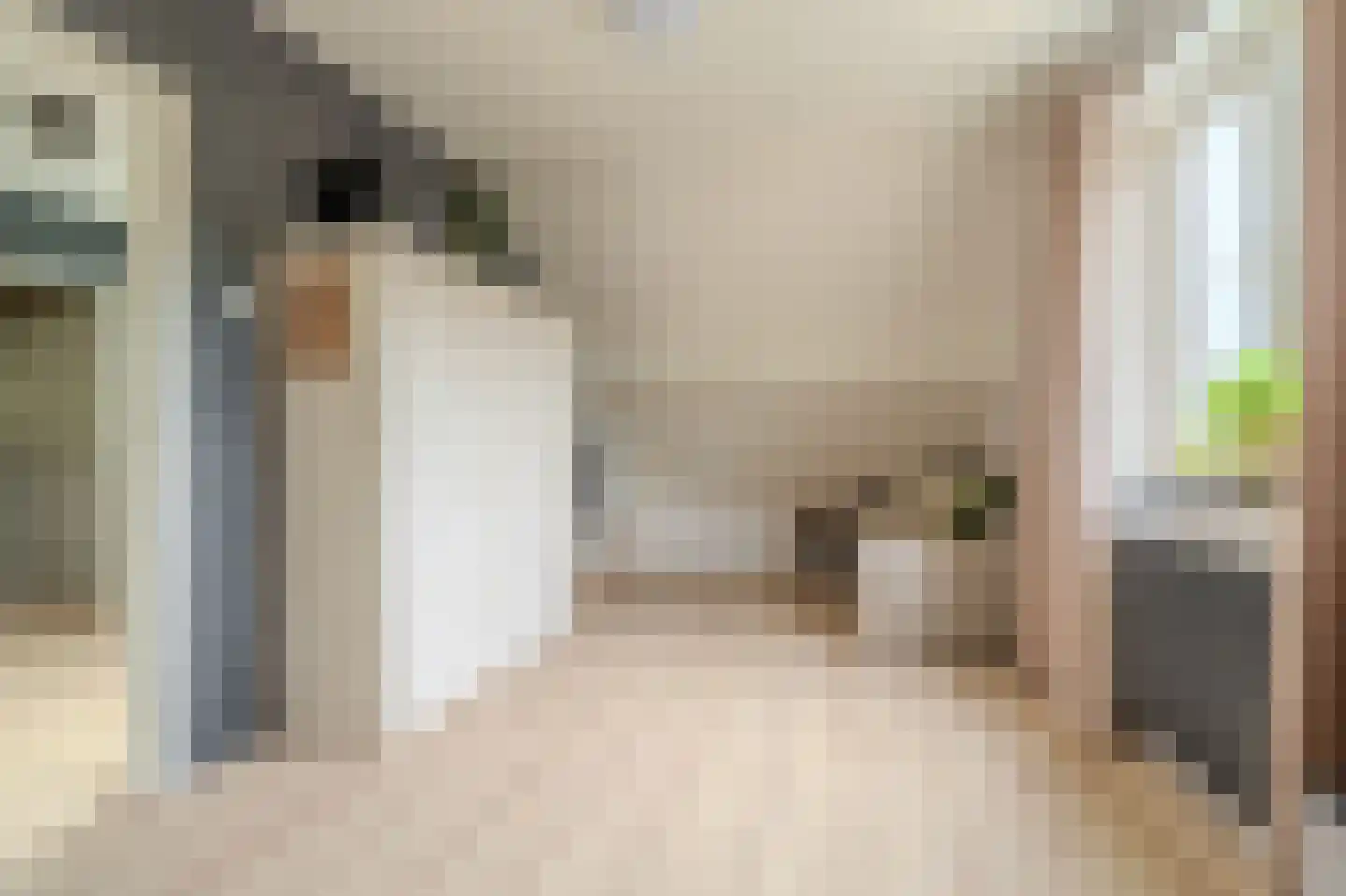 Molenlaan 4 Bellingwolde thumbnail 45