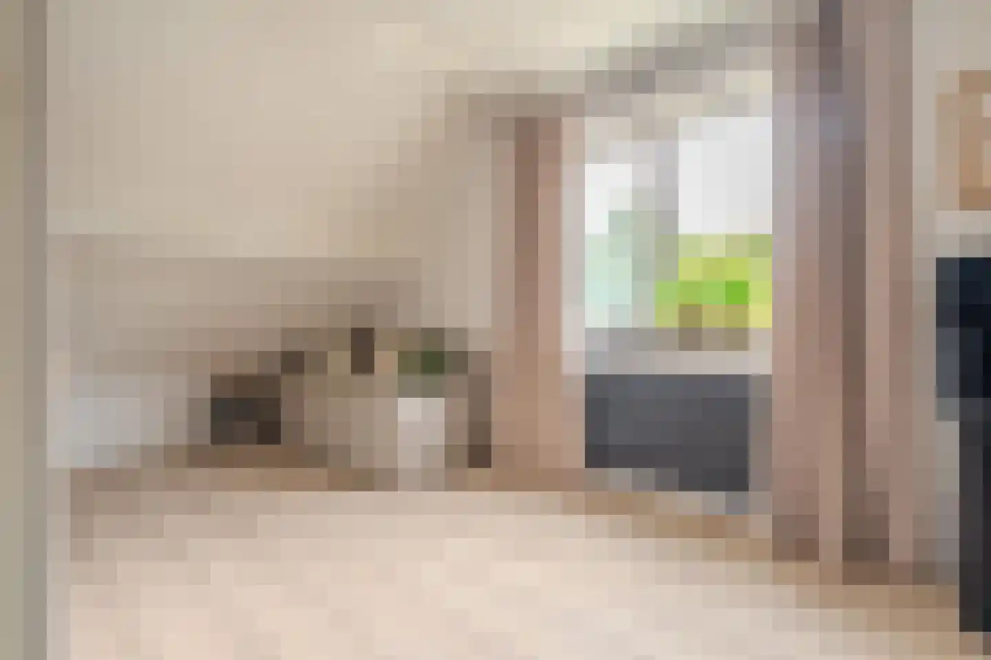 Molenlaan 4 Bellingwolde thumbnail 46