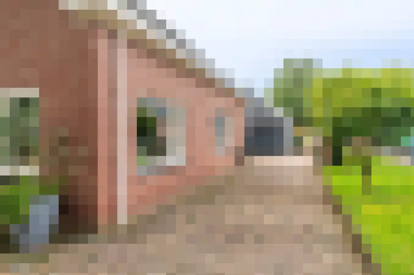 Molenlaan 4 Bellingwolde thumbnail 6
