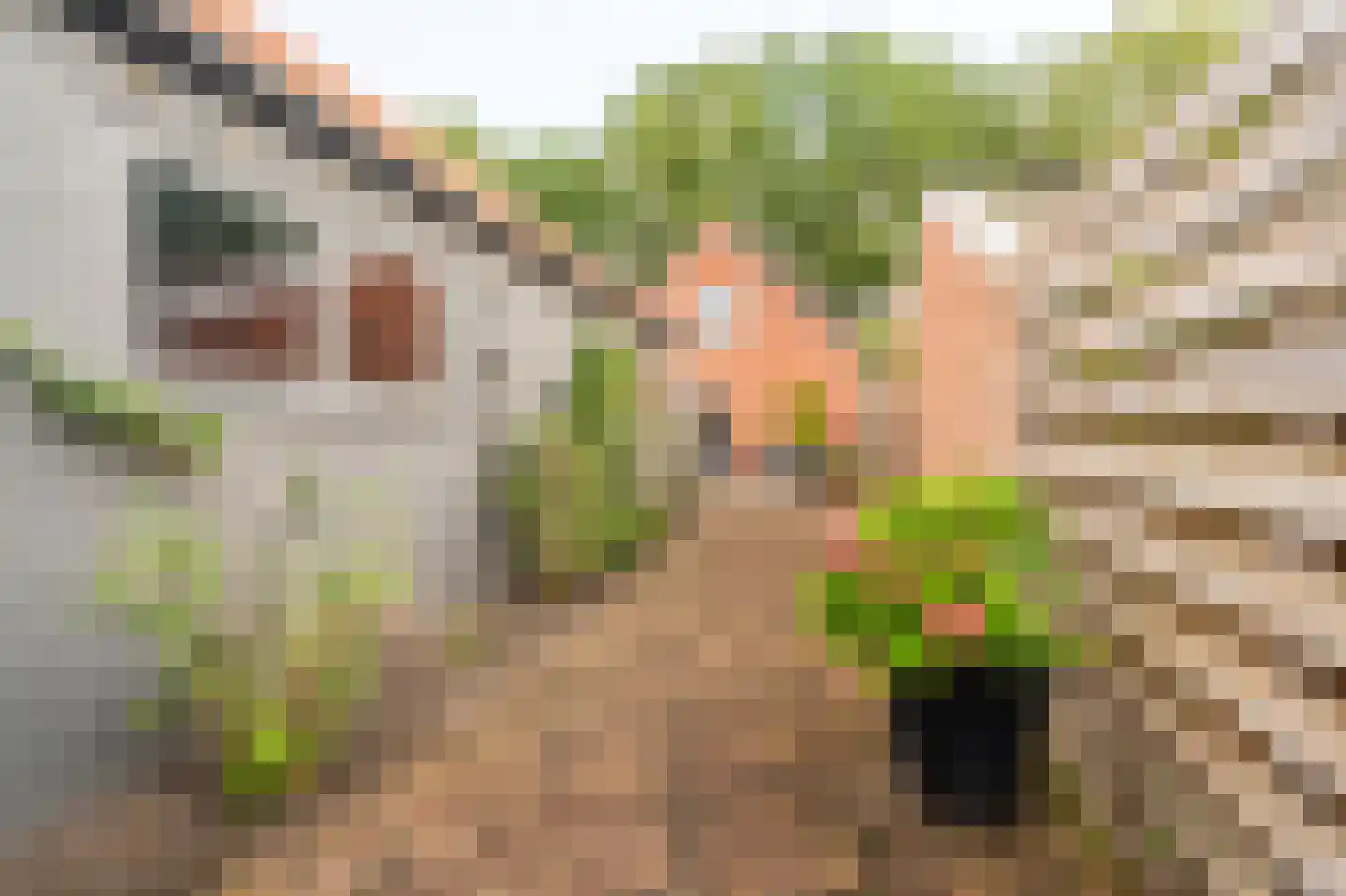 Molenlaan 4 Bellingwolde thumbnail 9