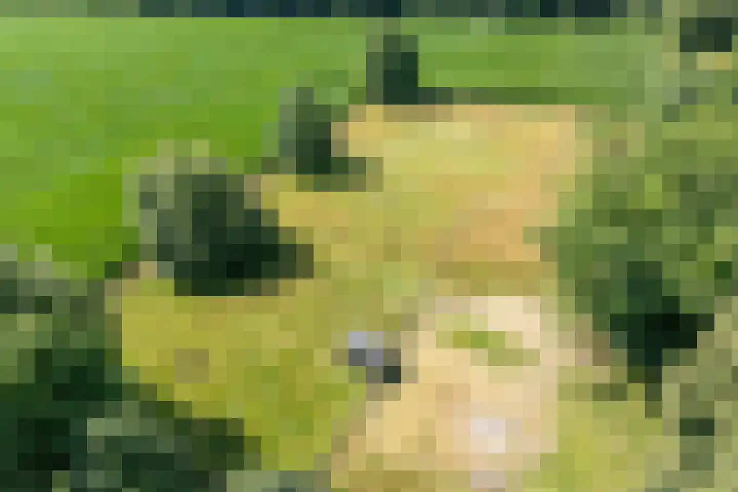 Molenlaan 4 Frederiksoord thumbnail 10