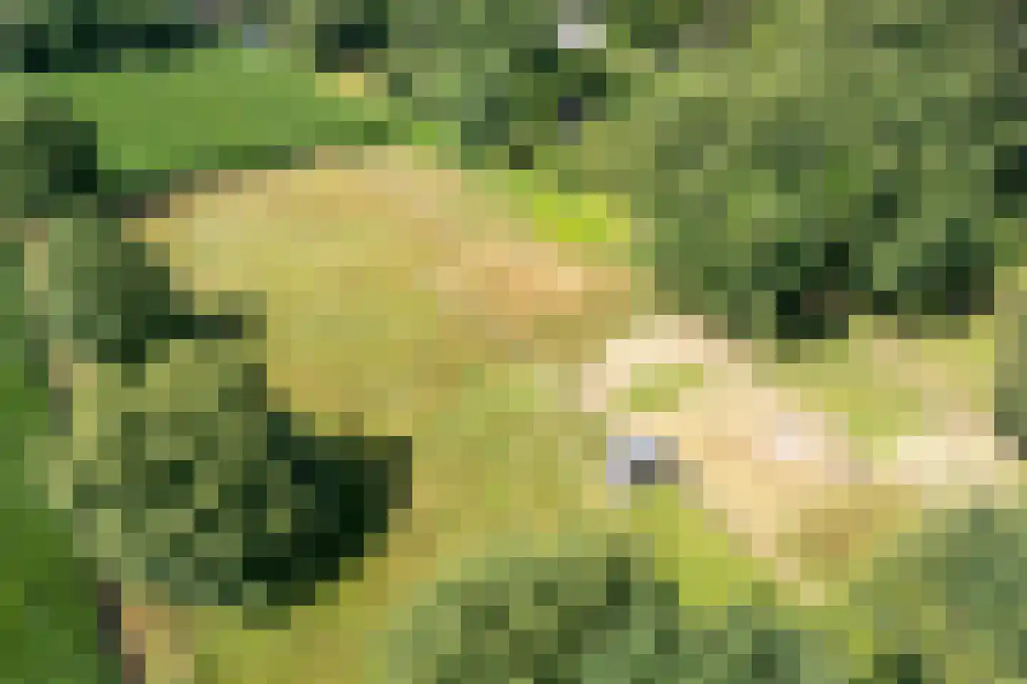 Molenlaan 4 Frederiksoord thumbnail 11