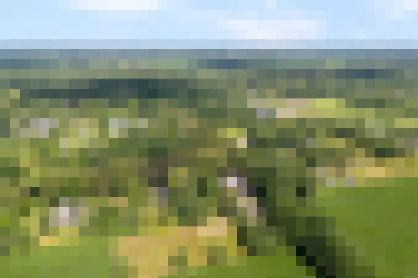 Molenlaan 4 Frederiksoord thumbnail 12