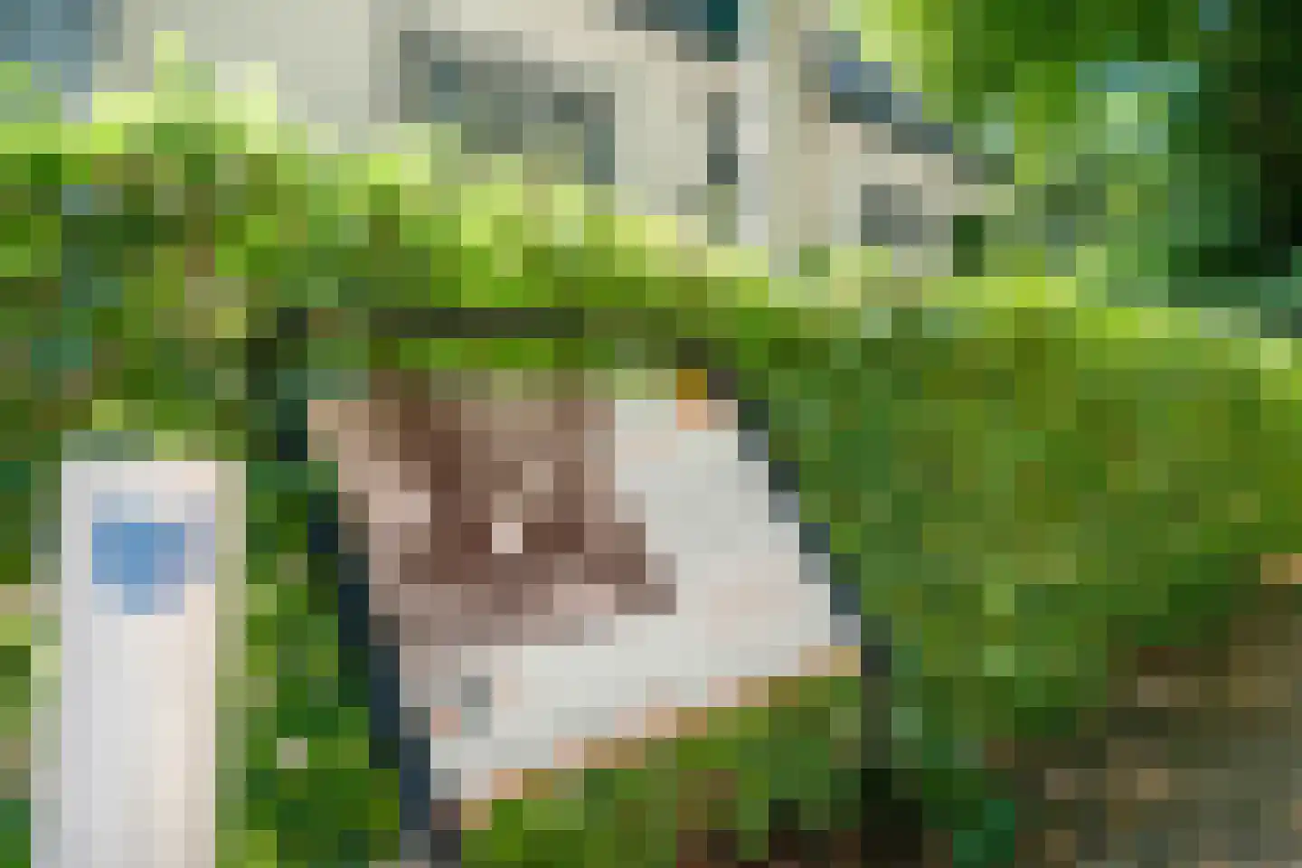 Molenlaan 4 Frederiksoord thumbnail 17