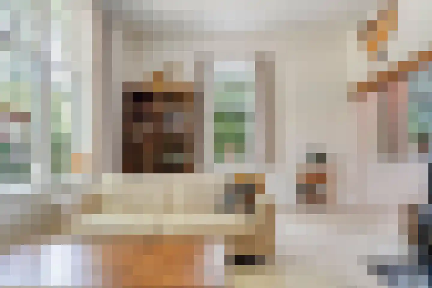 Molenlaan 4 Frederiksoord thumbnail 22