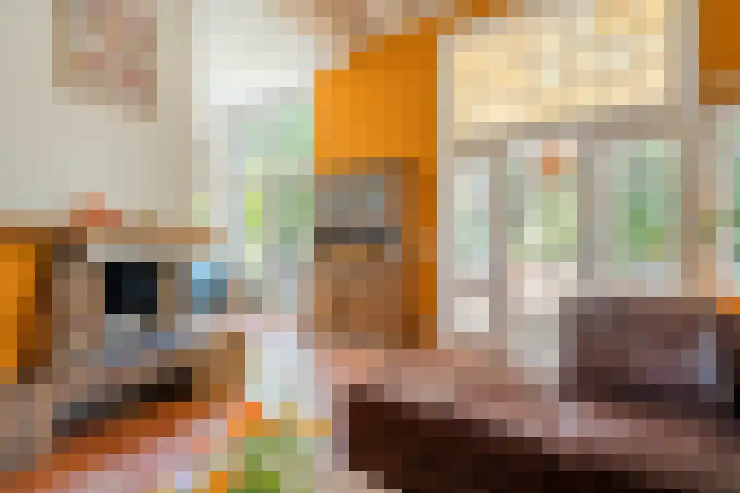 Molenlaan 4 Frederiksoord thumbnail 25