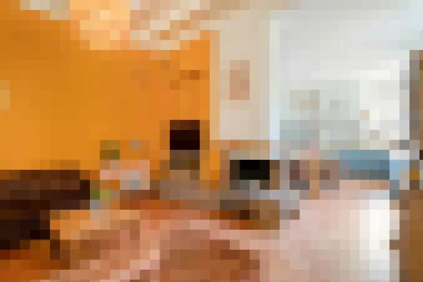 Molenlaan 4 Frederiksoord thumbnail 28