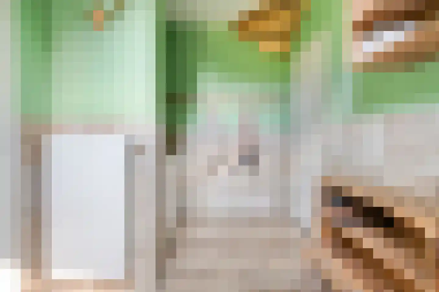 Molenlaan 4 Frederiksoord thumbnail 36
