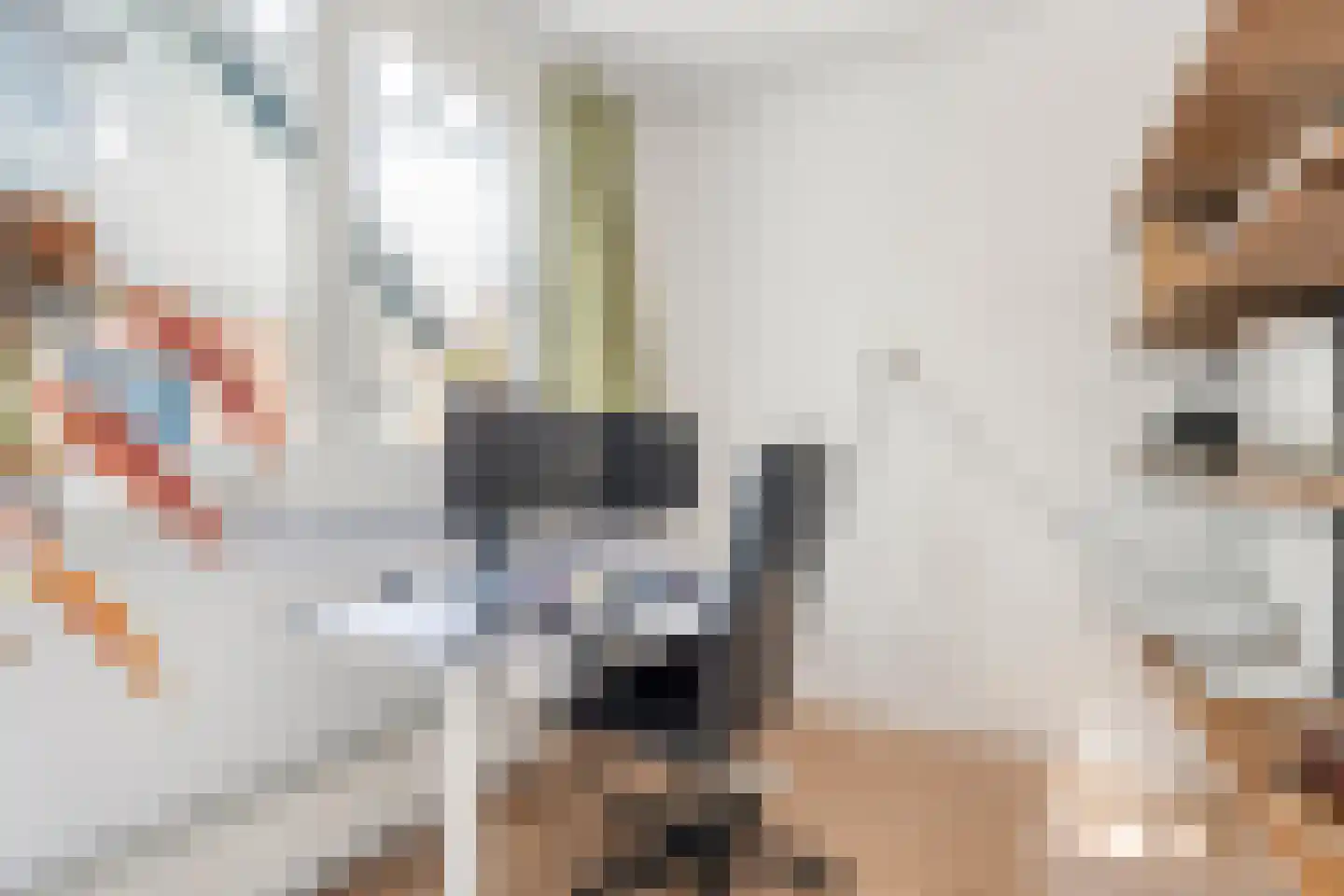 Molenlaan 4 Frederiksoord thumbnail 38