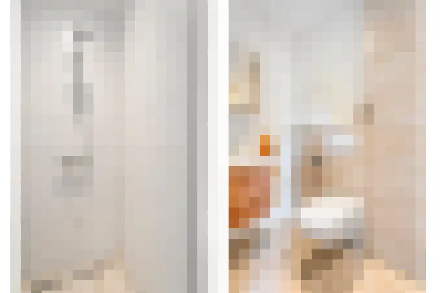 Molenlaan 4 Frederiksoord thumbnail 44