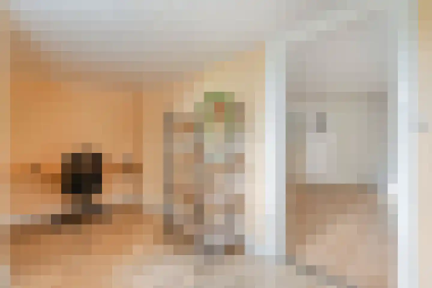 Molenlaan 4 Frederiksoord thumbnail 55