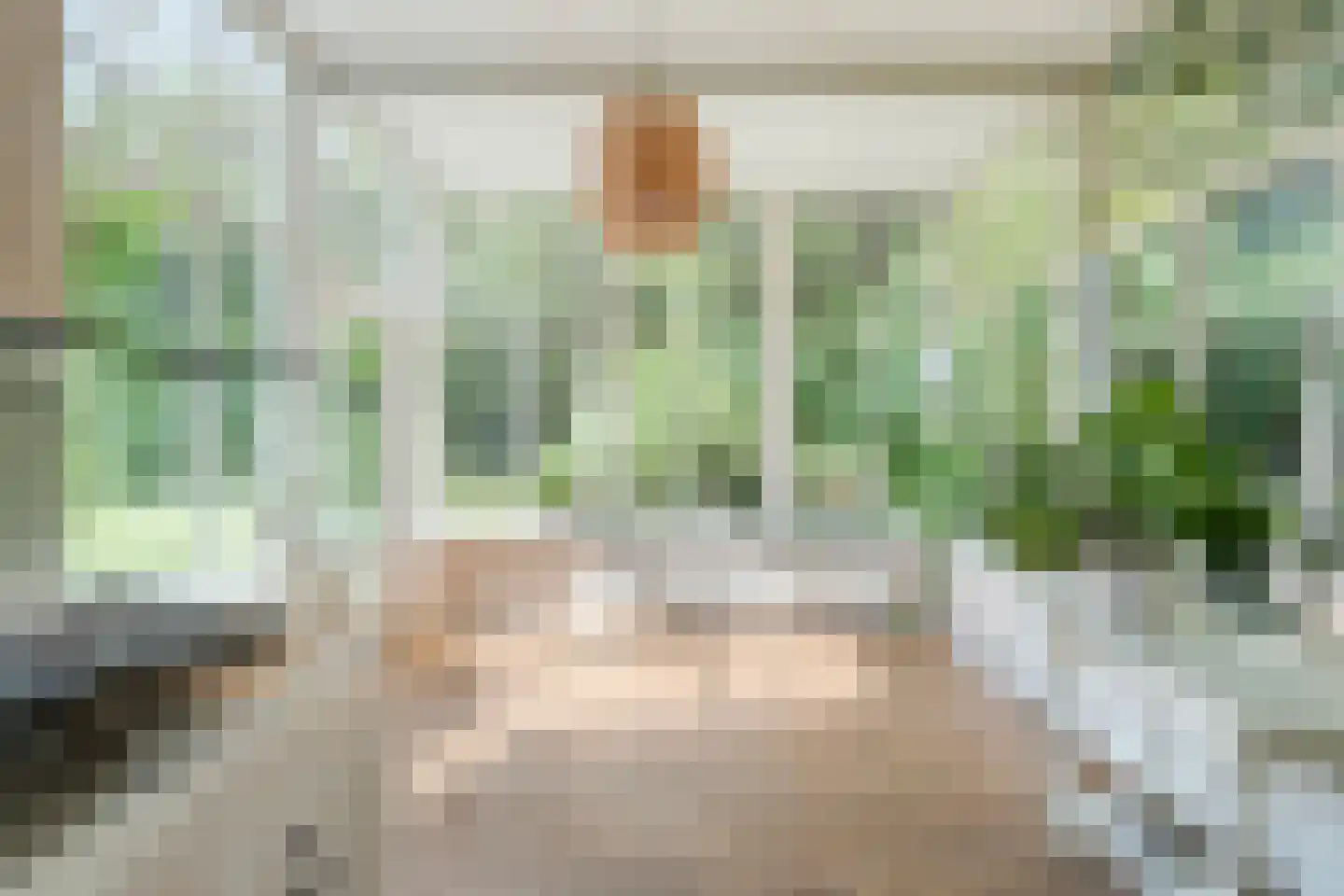 Molenlaan 4 Frederiksoord thumbnail 59