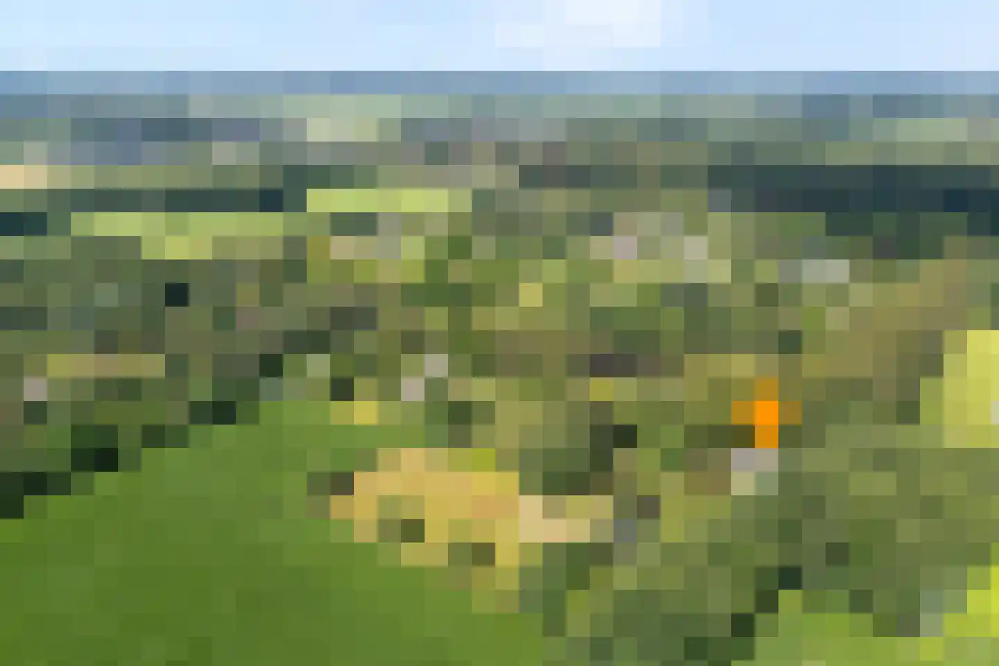 Molenlaan 4 Frederiksoord thumbnail 6