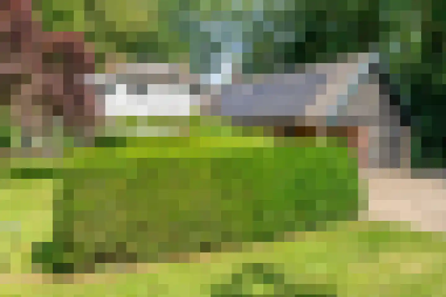 Molenlaan 4 Frederiksoord thumbnail 61