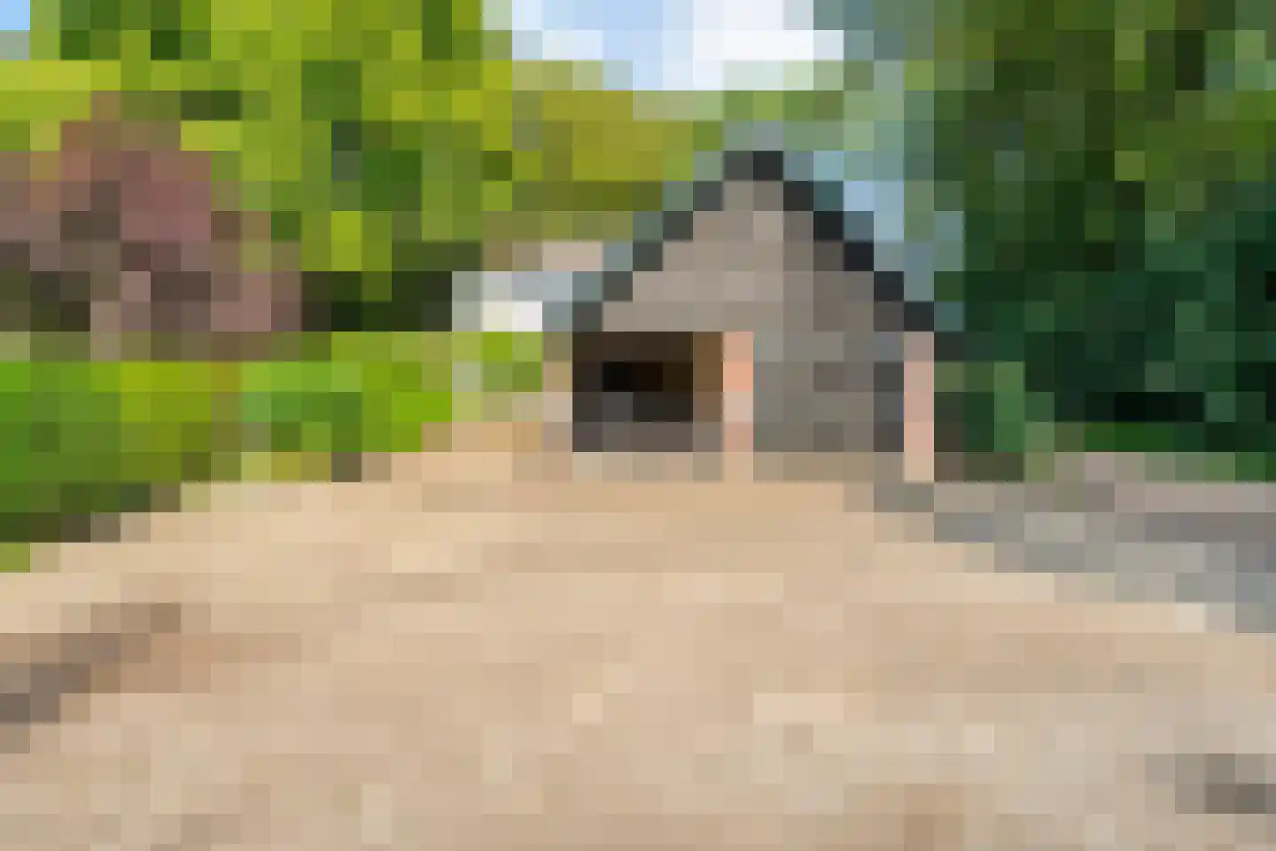Molenlaan 4 Frederiksoord thumbnail 62