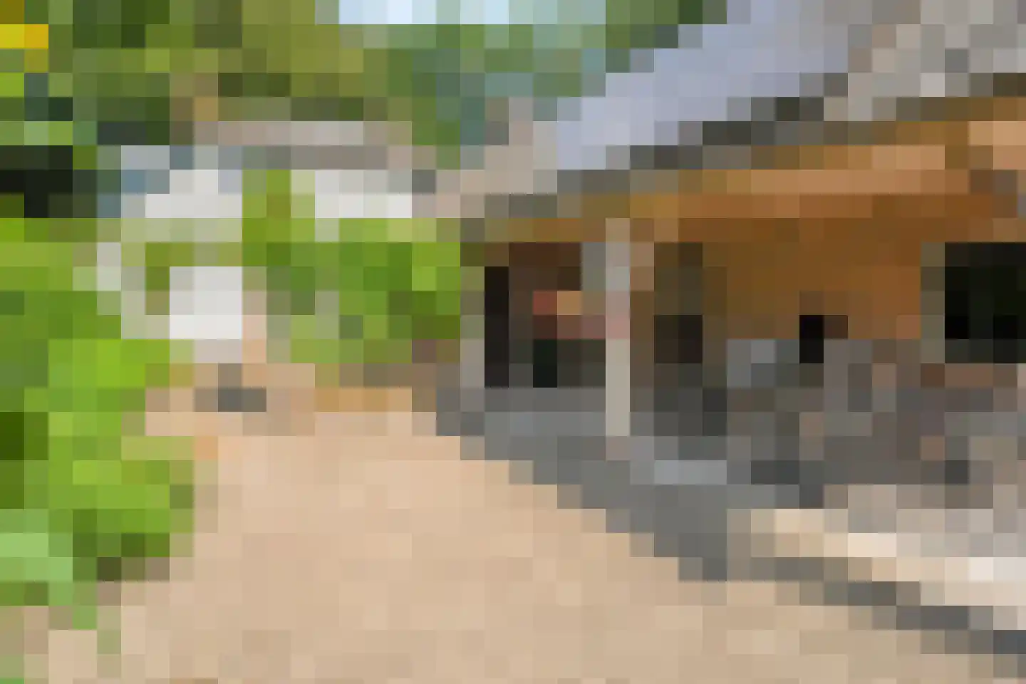 Molenlaan 4 Frederiksoord thumbnail 63