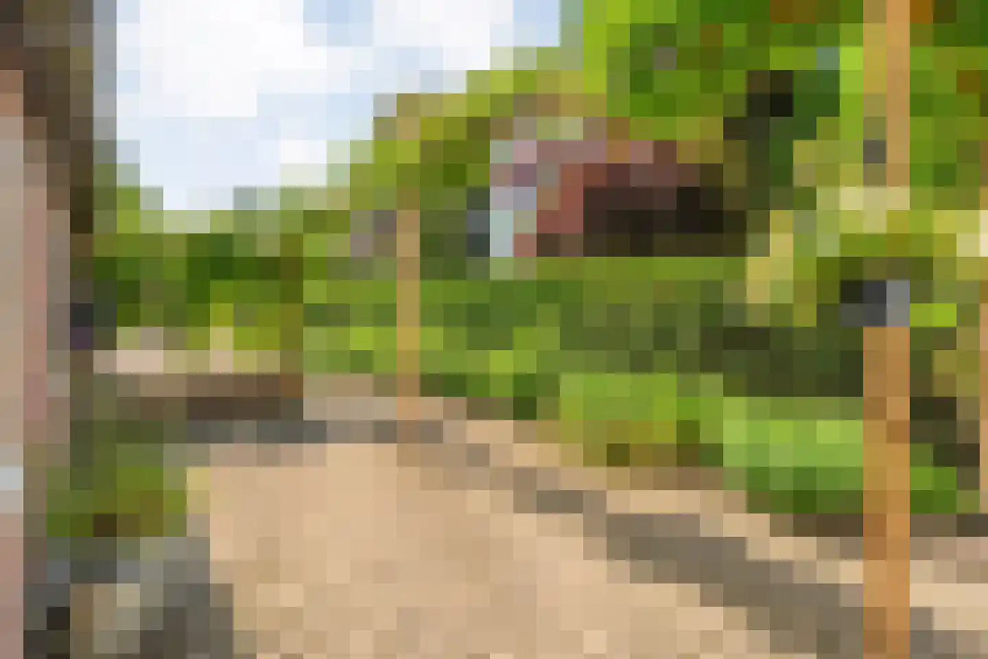 Molenlaan 4 Frederiksoord thumbnail 65