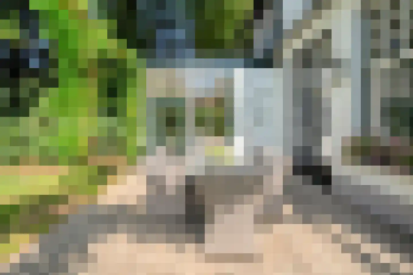 Molenlaan 4 Frederiksoord thumbnail 66