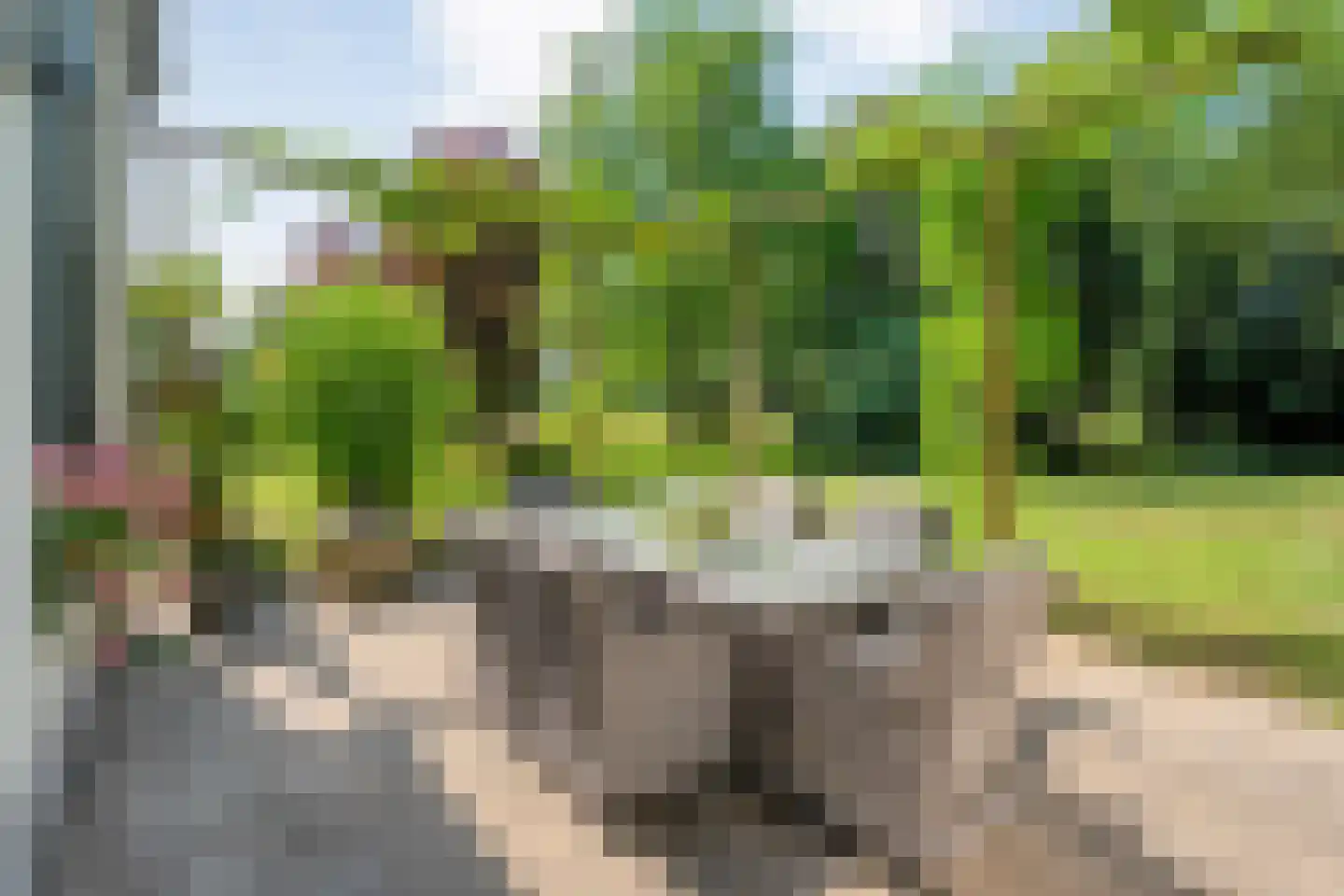 Molenlaan 4 Frederiksoord thumbnail 67