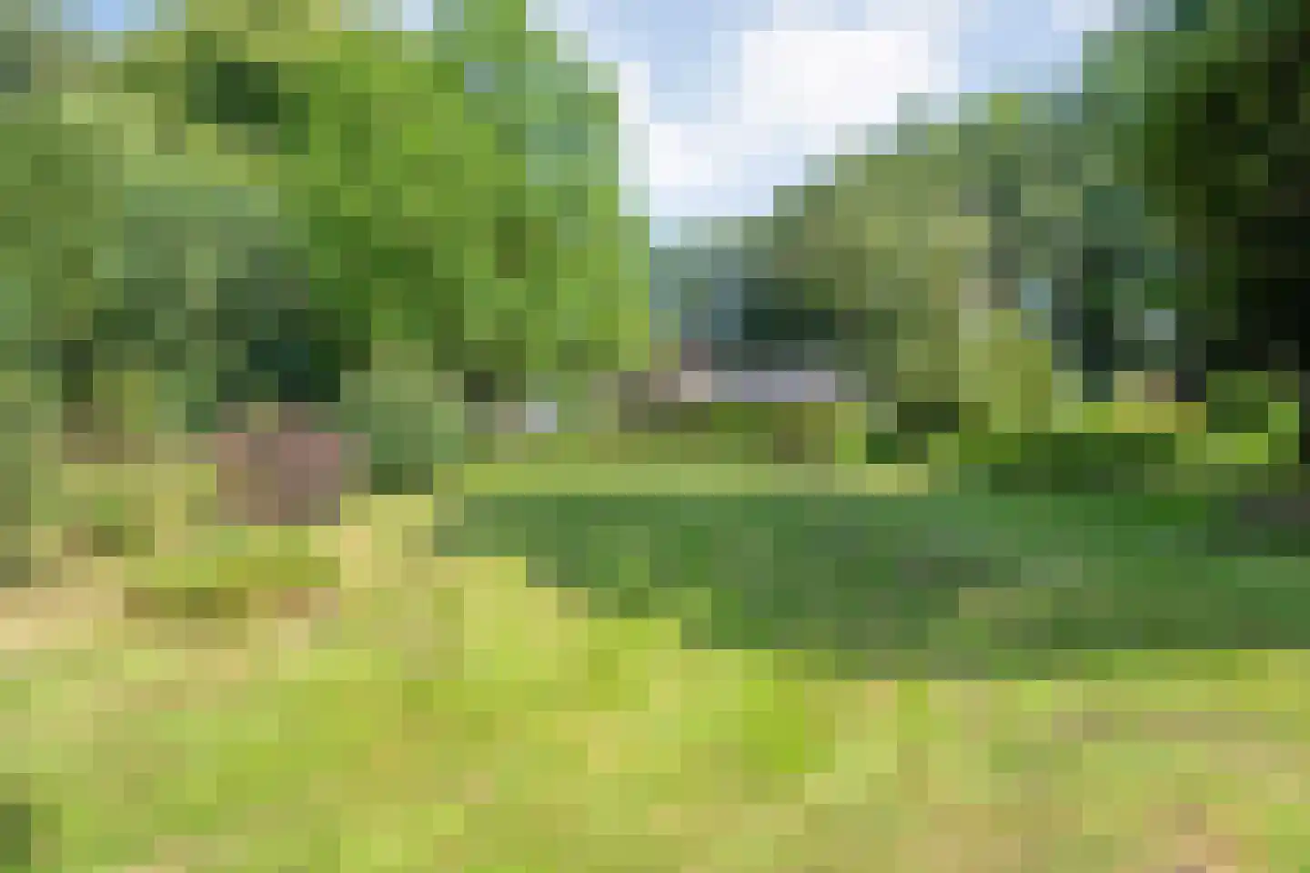 Molenlaan 4 Frederiksoord thumbnail 69