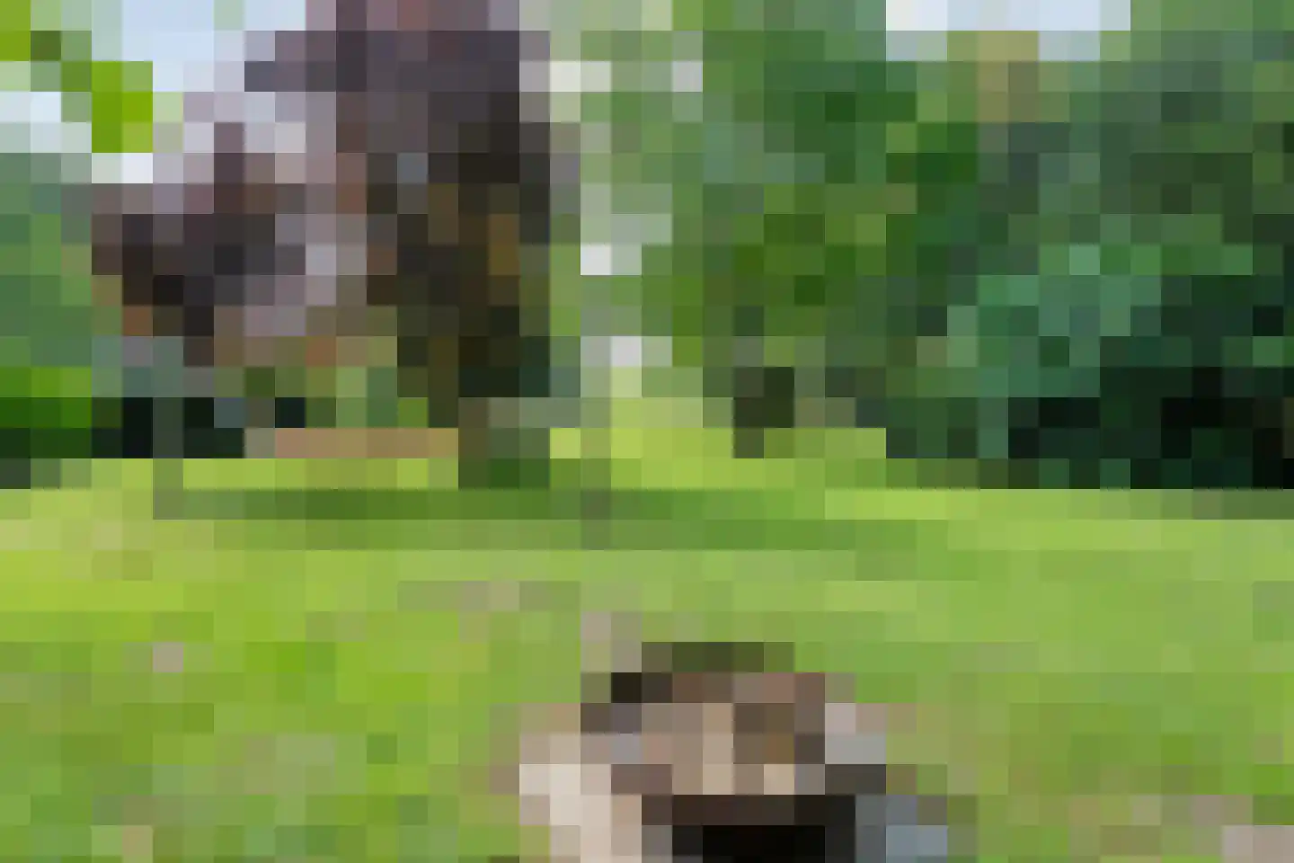 Molenlaan 4 Frederiksoord thumbnail 70