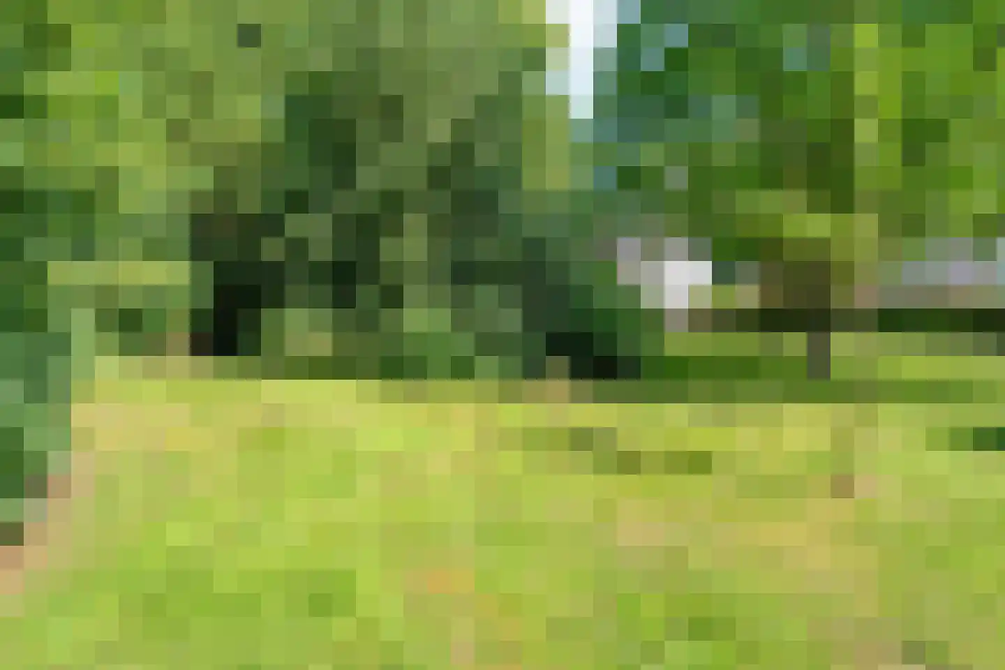 Molenlaan 4 Frederiksoord thumbnail 71