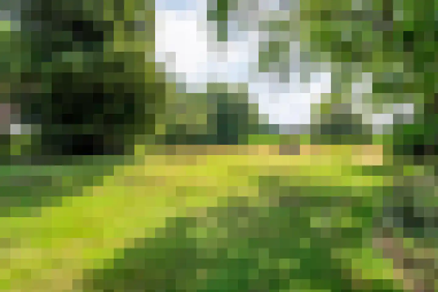 Molenlaan 4 Frederiksoord thumbnail 72