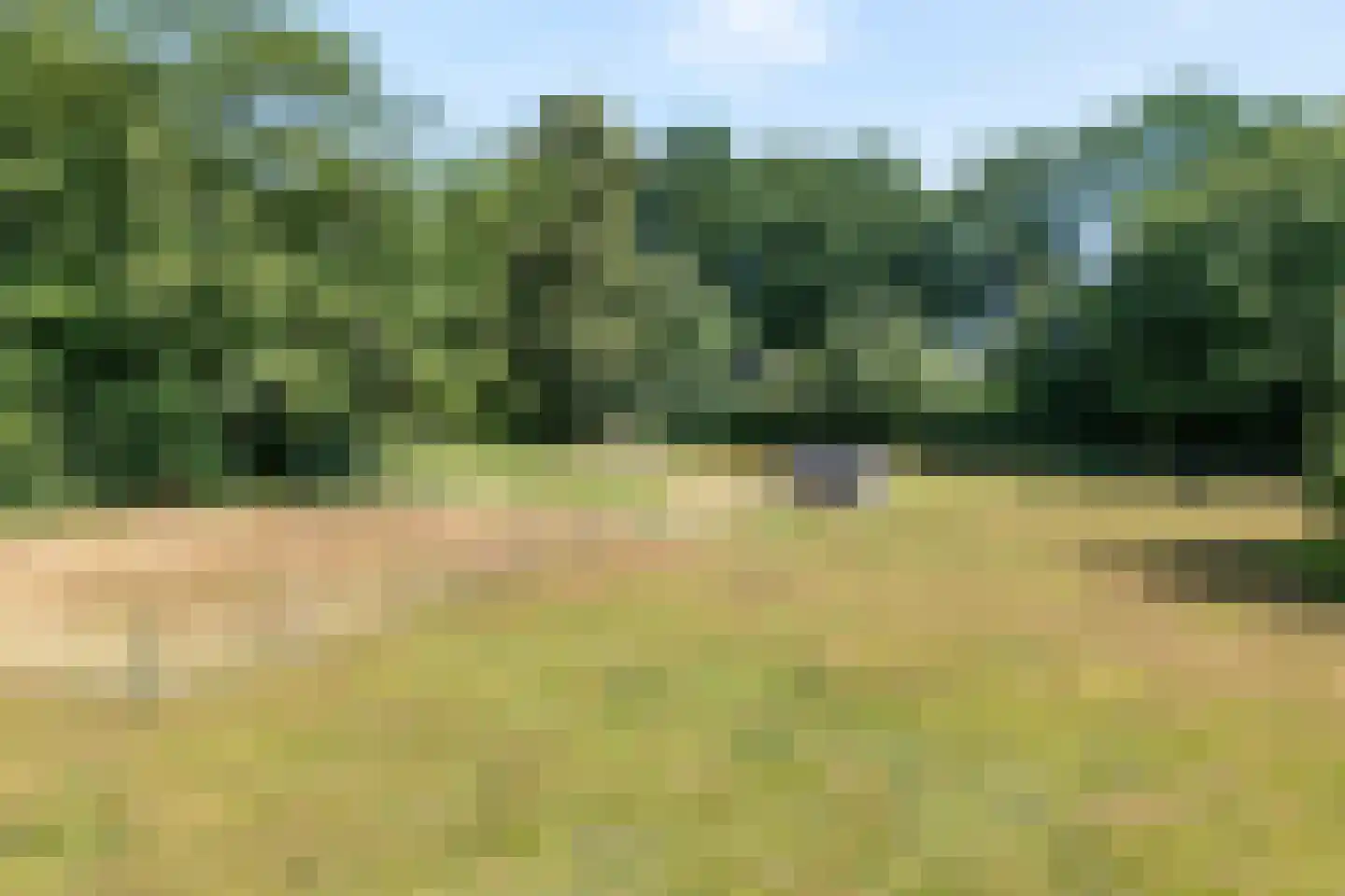 Molenlaan 4 Frederiksoord thumbnail 73