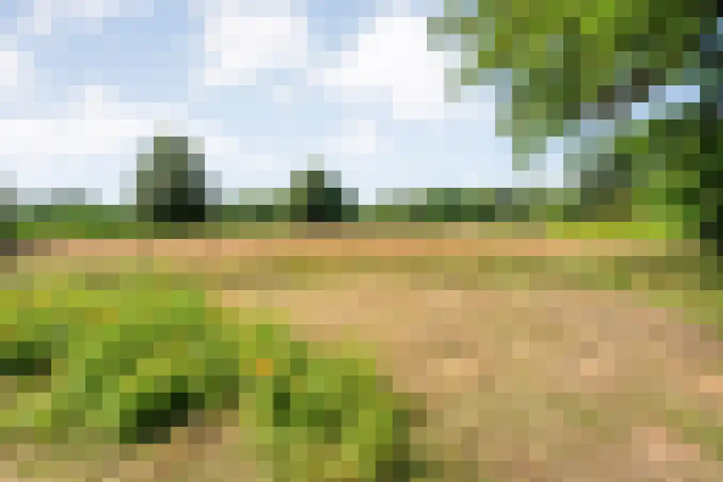 Molenlaan 4 Frederiksoord thumbnail 74