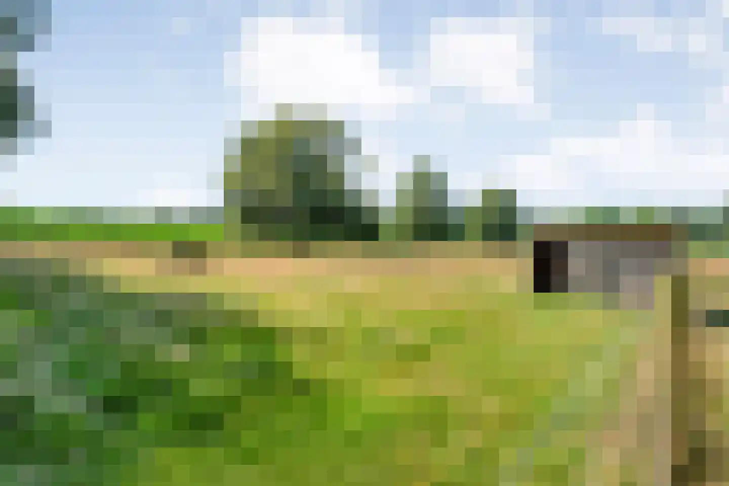Molenlaan 4 Frederiksoord thumbnail 76