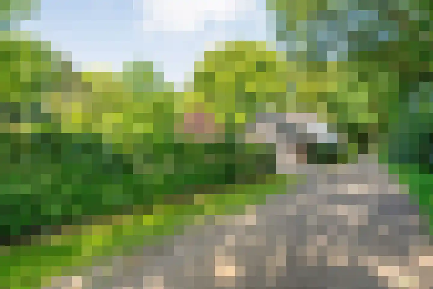 Molenlaan 4 Frederiksoord thumbnail 77