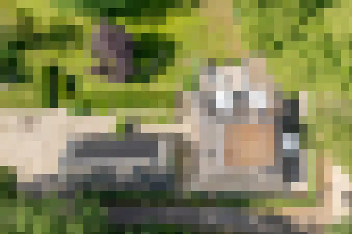Molenlaan 4 Frederiksoord thumbnail 8