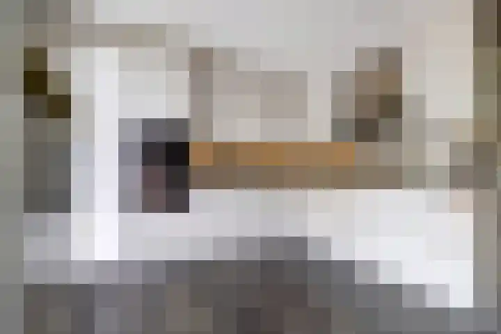 Molenlaan 40 Honselersdijk thumbnail 10
