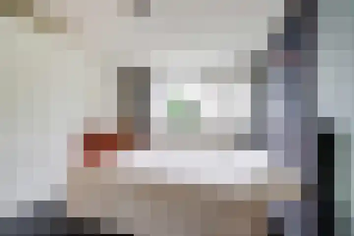 Molenlaan 40 Honselersdijk thumbnail 13