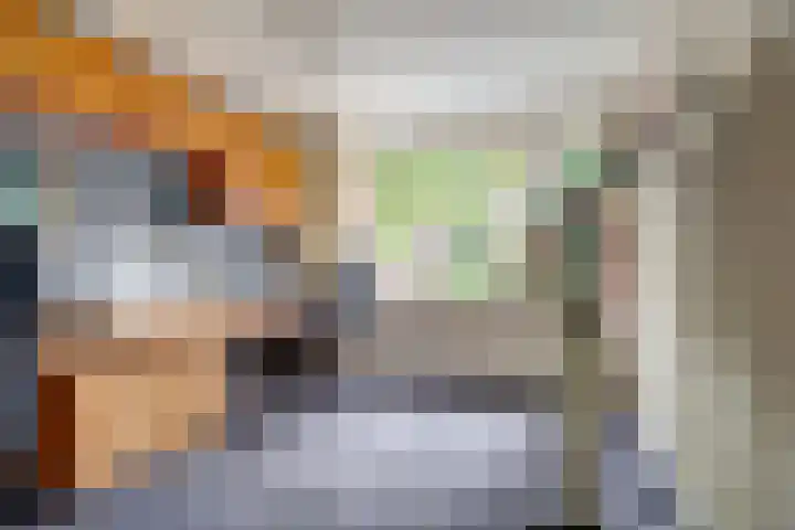 Molenlaan 40 Honselersdijk thumbnail 14