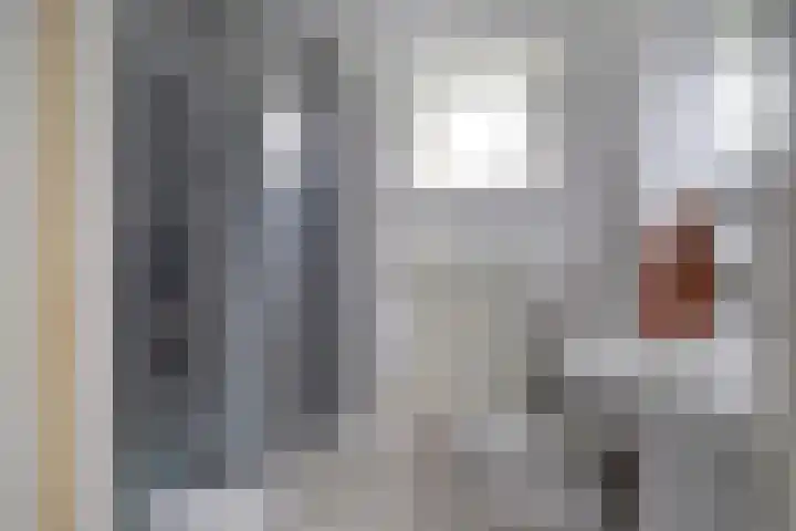 Molenlaan 40 Honselersdijk thumbnail 17