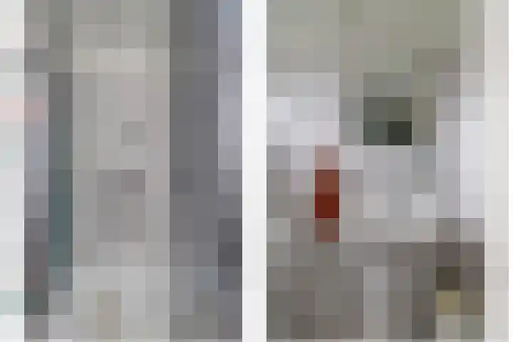 Molenlaan 40 Honselersdijk thumbnail 18