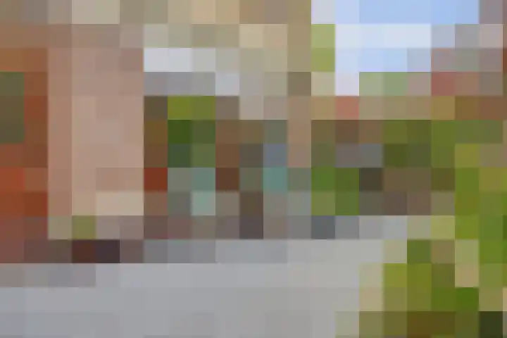 Molenlaan 40 Honselersdijk thumbnail 21