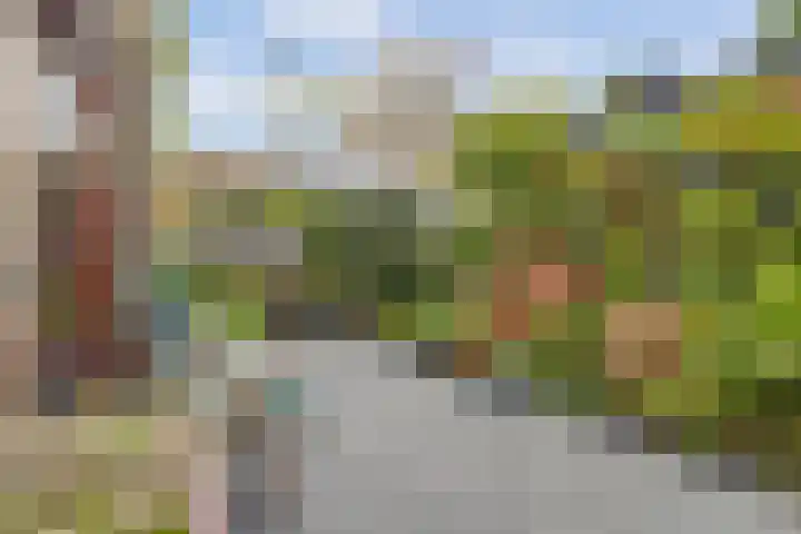 Molenlaan 40 Honselersdijk thumbnail 22