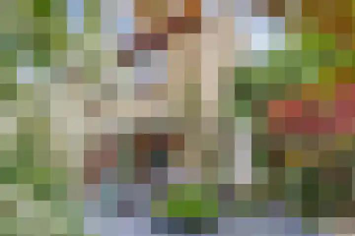 Molenlaan 40 Honselersdijk thumbnail 23